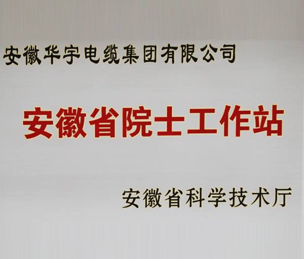 安徽華宇電纜集團(tuán)有限公司安徽省院士工作站正式獲批